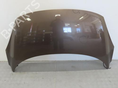 Used Hood RENAULT SCÉNIC III (JZ0/1_) 1.9 dCi (JZ0J, JZ1J, JZ1K, JZ1S) (131 hp) 17780666