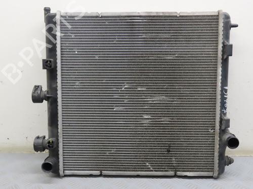 Used Water radiator PEUGEOT 207 (WA_, WC_) 1.4 HDi (68 hp) 9378730