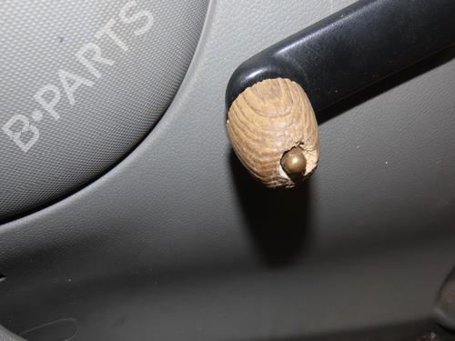 Used Left front door Left front door RENAULT KANGOO Express (FC0/1_) 1.5 dCi (FC07, FC1R) (65 hp) 39733052 39733052