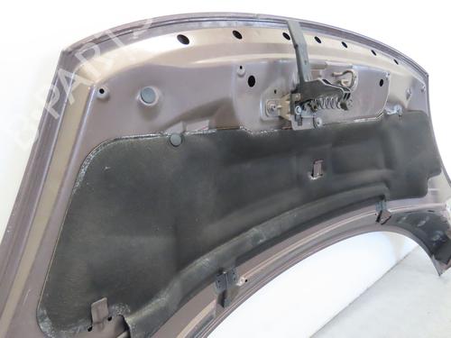 Hood RENAULT SCÉNIC III (JZ0/1_) 1.9 dCi (JZ0J, JZ1J, JZ1K, JZ1S) | BP17780666C1