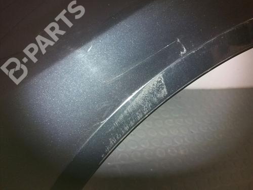 Left front fenders RENAULT LAGUNA II (BG0/1_) 1.9 dCi (BG1A, BG1W, BG0G) | BP9383431C41 
