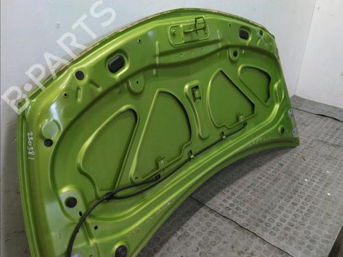 Hood RENAULT CLIO III (BR0/1, CR0/1) 1.5 dCi (BR17, CR17) | BP17780630C1 