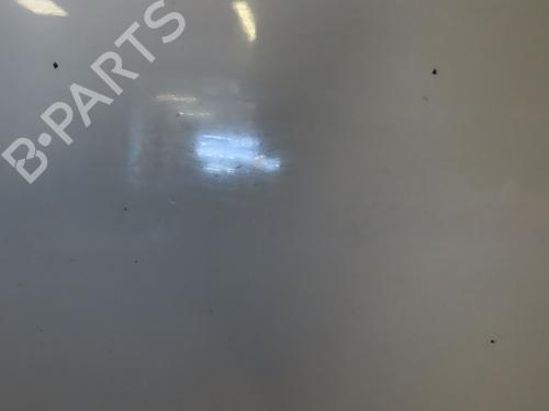 Hood RENAULT SCÉNIC III (JZ0/1_) 1.5 dCi (JZ02, JZ0R) | BP23869082C1