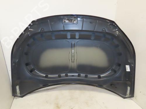Used Hood Hood VW TIGUAN (5N_) 2.0 TDI 4motion (140 hp) 33744334 33744334