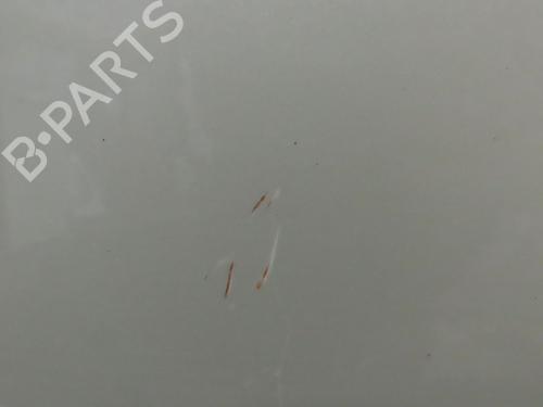 Right front door FORD KA (RU8) 1.3 TDCi | BP29046009C3