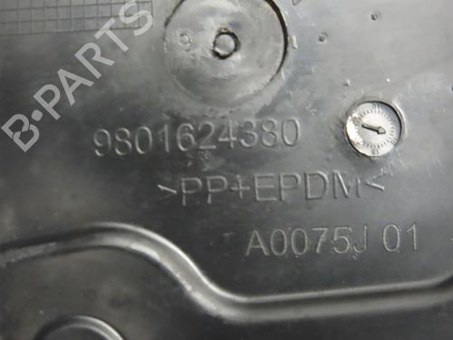 Cava de roda CITROËN C4 CACTUS 1.2 THP 110 (110 hp) 17802519