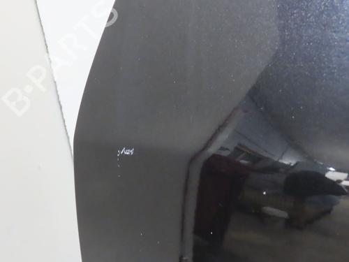 Used Left front door SKODA FABIA II (542) 1.2 TDI (75 hp) 26227423