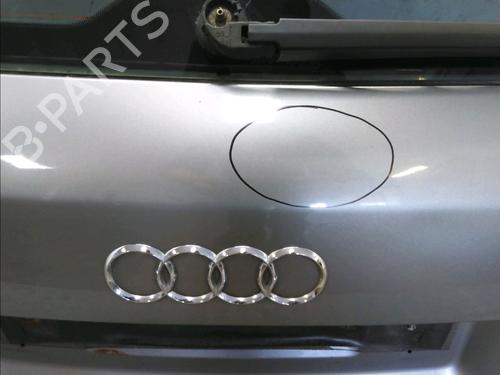 Tailgate AUDI A4 B7 Avant (8ED) 2.0 TDI 16V | BP17781910C6 