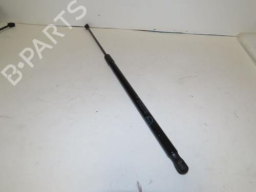 Used Tailgate lift support FORD C-MAX II (DXA/CB7, DXA/CEU) 1.0 EcoBoost (125 hp) 32178779