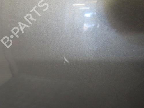 Left front door RENAULT SCÉNIC III (JZ0/1_) 1.5 dCi | BP21049725C2 