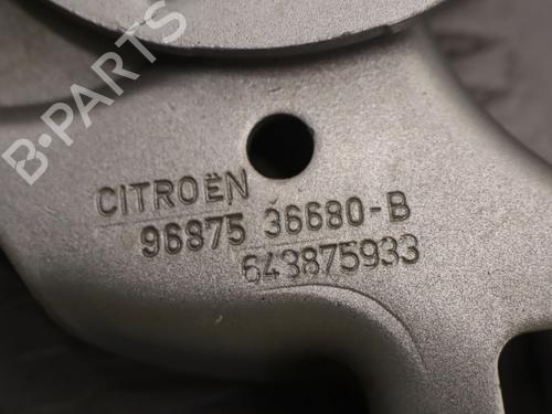 hingedoor-check-strap-citroen-c4-ii-nc_-2009-35747891 main image