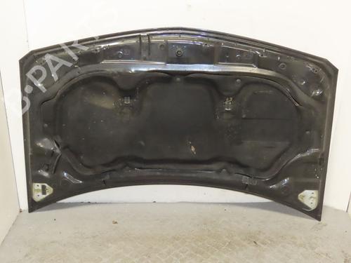Used Hood RENAULT MEGANE II (BM0/1_, CM0/1_) 1.9 dCi (BM0G, CM0G) (120 hp) 25859255