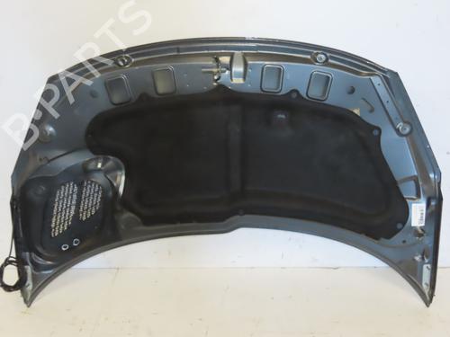 hood-peugeot-206-2l_-2m_-2009-2010-2011-2012-2013-39893271 main image