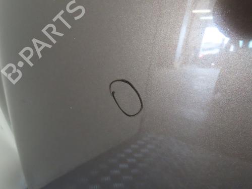 Hood RENAULT SCÉNIC III (JZ0/1_) 1.9 dCi (JZ0J, JZ1J, JZ1K, JZ1S) | BP18076681C1