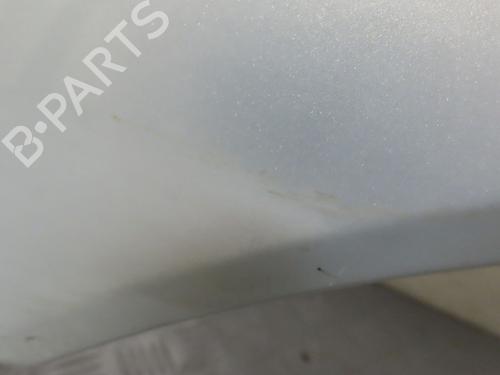 Left front fenders RENAULT MEGANE I Coach (DA0/1_) 1.9 dTi (DA0N) | BP24821885C41