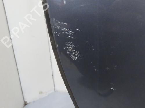 Left front door CITROËN C3 II (SC_) 1.4 VTi 95 | BP25278682C2 