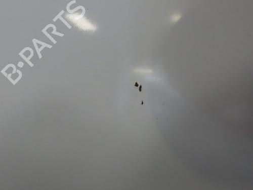 Hood RENAULT SCÉNIC III (JZ0/1_) 1.5 dCi (JZ02, JZ0R) | BP23869082C1