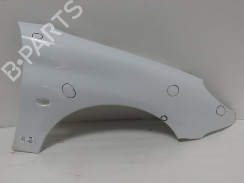 Right front fenders PEUGEOT 206 Hatchback (2A/C) 1.4 HDi eco 70 | BP29516328C42 