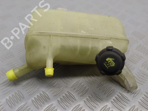 Deposito expansion RENAULT MEGANE II (BM0/1_, CM0/1_) 1.9 dCi (131 hp) 17776878