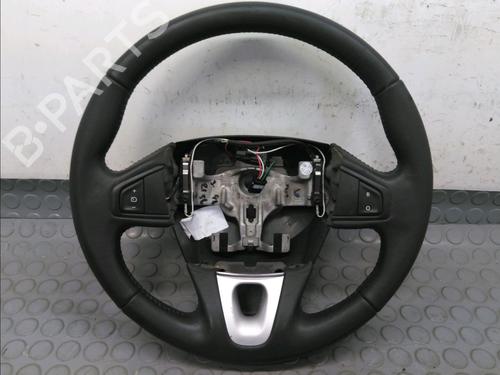 Rat RENAULT SCÉNIC III (JZ0/1_) 1.5 dCi (106 hp) 17777664