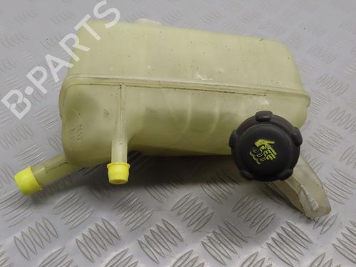 Ekspansjonstank Ekspansjonstank RENAULT MEGANE II (BM0/1_, CM0/1_) 1.9 dCi (131 hp) 17776878 17776878