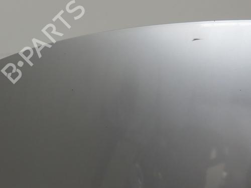 Hood RENAULT CLIO III (BR0/1, CR0/1) 1.5 dCi | BP30311504C1