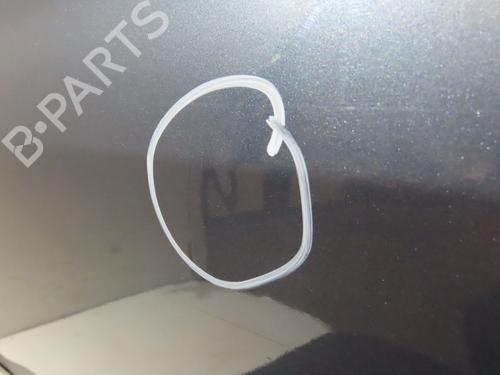 Left front door RENAULT CLIO III (BR0/1, CR0/1) 1.5 dCi (C/BR0G, C/BR1G) | BP29643752C2 