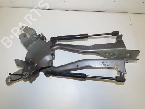 hingedoor-check-strap-renault-scenic-iii-jz01_-2008-2009-2010-2011-2012-2013-2014-2015-2016-33415938 main image