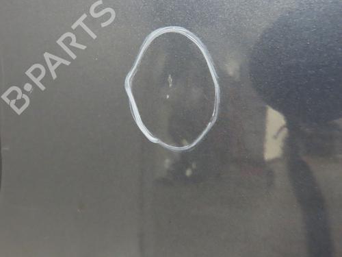 Right front door RENAULT TWINGO II (CN0_) 1.2 16V (CN0K, CN0V, CN0A) | BP30979284C3