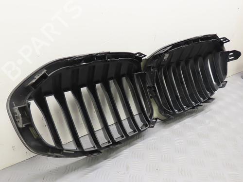 grille-bmw-1-f40-2019-31276194 main image