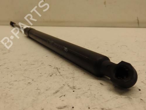 Tailgate lift support PEUGEOT 308 II (LB_, LP_, LW_, LH_, L3_) 1.6 BlueHDi 120 | BP29601333C138 
