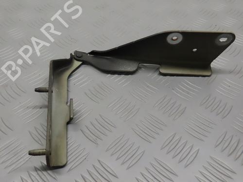 Hinge/Door check strap CITROËN C3 I (FC_, FN_) 1.4 HDi | BP30767771C146