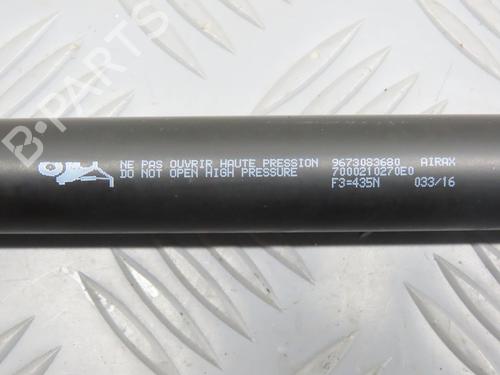 tailgate-lift-support-peugeot-208-i-ca_-cc_-2012-2013-2014-2015-2016-2017-2018-2019-2020-2021-31276538 main image