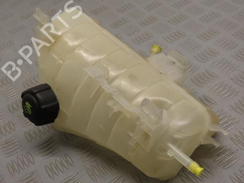 Expansion tank RENAULT KANGOO Express (FW0/1_) 1.5 dCi 90 (FW0G, FW05, FW08, FW11) | BP20162663C120 