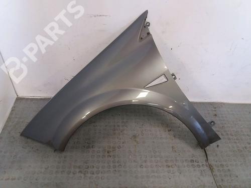 Used Left front fenders RENAULT MEGANE II (BM0/1_, CM0/1_) 1.6 16V (BM0C, CM0C) (113 hp) 10102442