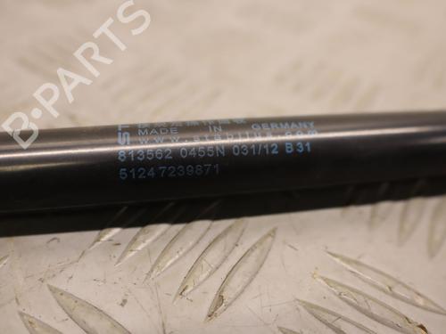 tailgate-lift-support-bmw-1-f20-2011-2012-2013-2014-2015-2016-2017-2018-2019-36681296 main image