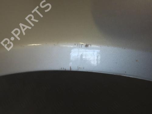 Left front fenders FORD FIESTA V (JH_, JD_) 1.3 | BP19791261C41 