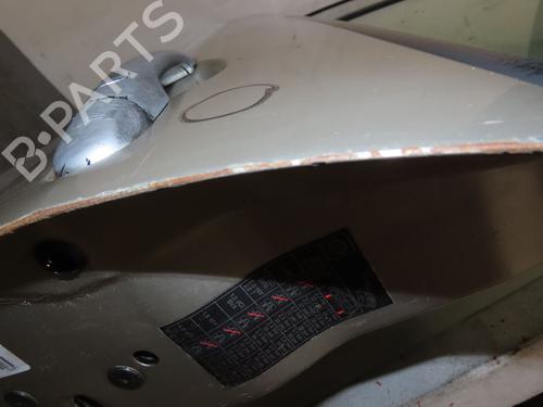 Left front door RENAULT SCÉNIC II (JM0/1_) 1.5 dCi (JM1E, JM16) | BP24323338C2 