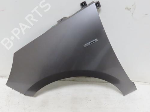 Left front fenders RENAULT SCÉNIC III (JZ0/1_) 1.6 dCi (JZ00, JZ12) | BP32151189C41