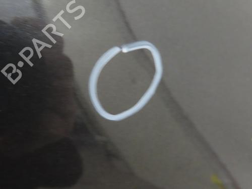 Left rear door FIAT 500L (351_, 352_) 1.6 D Multijet (199LYE1B) | BP29170782C4 