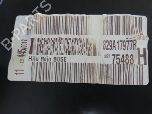 Used Rear left panel Rear left panel RENAULT KADJAR (HA_, HL_) 1.6 dCi 130 (HLA4) (130 hp) 40162413 40162413