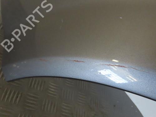 Left front fenders RENAULT SCÉNIC II (JM0/1_) 1.5 dCi (JM1E, JM16) | BP24103357C41 