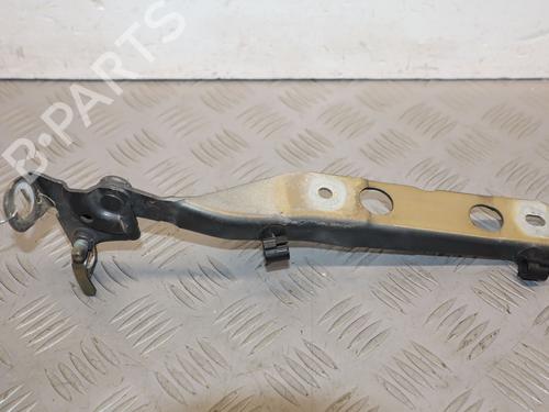 hingedoor-check-strap-citroen-c4-picasso-ii-2013-36396704 main image