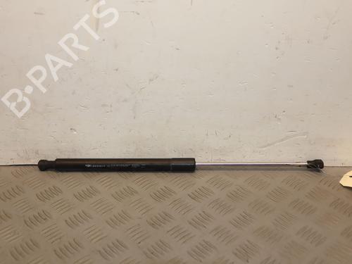tailgate-lift-support-renault-clio-iii-br01-cr01-2005-2006-2007-2008-2009-2010-2011-2012-2013-2014-36244542 main image