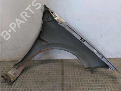 Left front fenders RENAULT MEGANE II (BM0/1_, CM0/1_) 1.9 dCi (BM0G, CM0G) | BP23155040C41 