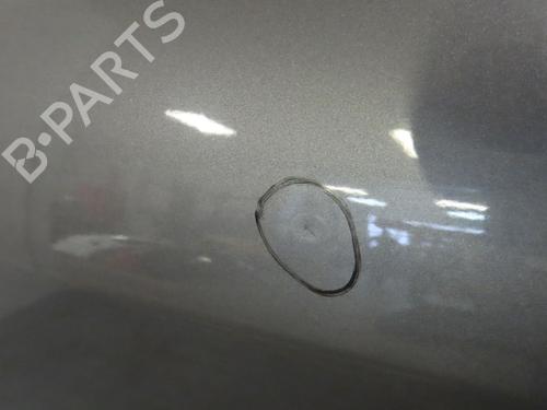 Left rear door RENAULT CLIO III (BR0/1, CR0/1) 1.5 dCi | BP20181308C4 