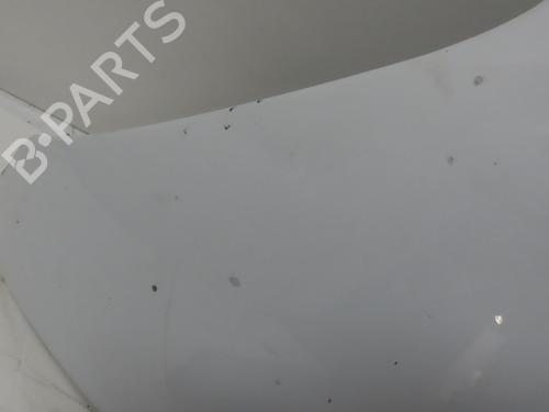 Left front fenders PEUGEOT 206 Hatchback (2A/C) 1.4 HDi eco 70 | BP29516330C41 