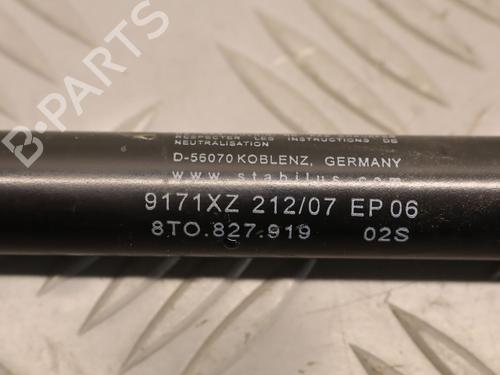 Tailgate lift support RENAULT CLIO V (B7_) 1.3 TCe 140 (B7N0) | BP33187772C138 - Image 3