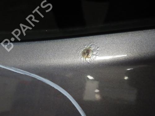 Tailgate RENAULT CLIO III (BR0/1, CR0/1) 1.5 dCi (C/BR0G, C/BR1G) | BP29643833C6 