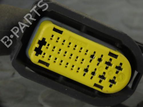 Left rear door RENAULT SCÉNIC III (JZ0/1_) 1.5 dCi | BP17781669C4 